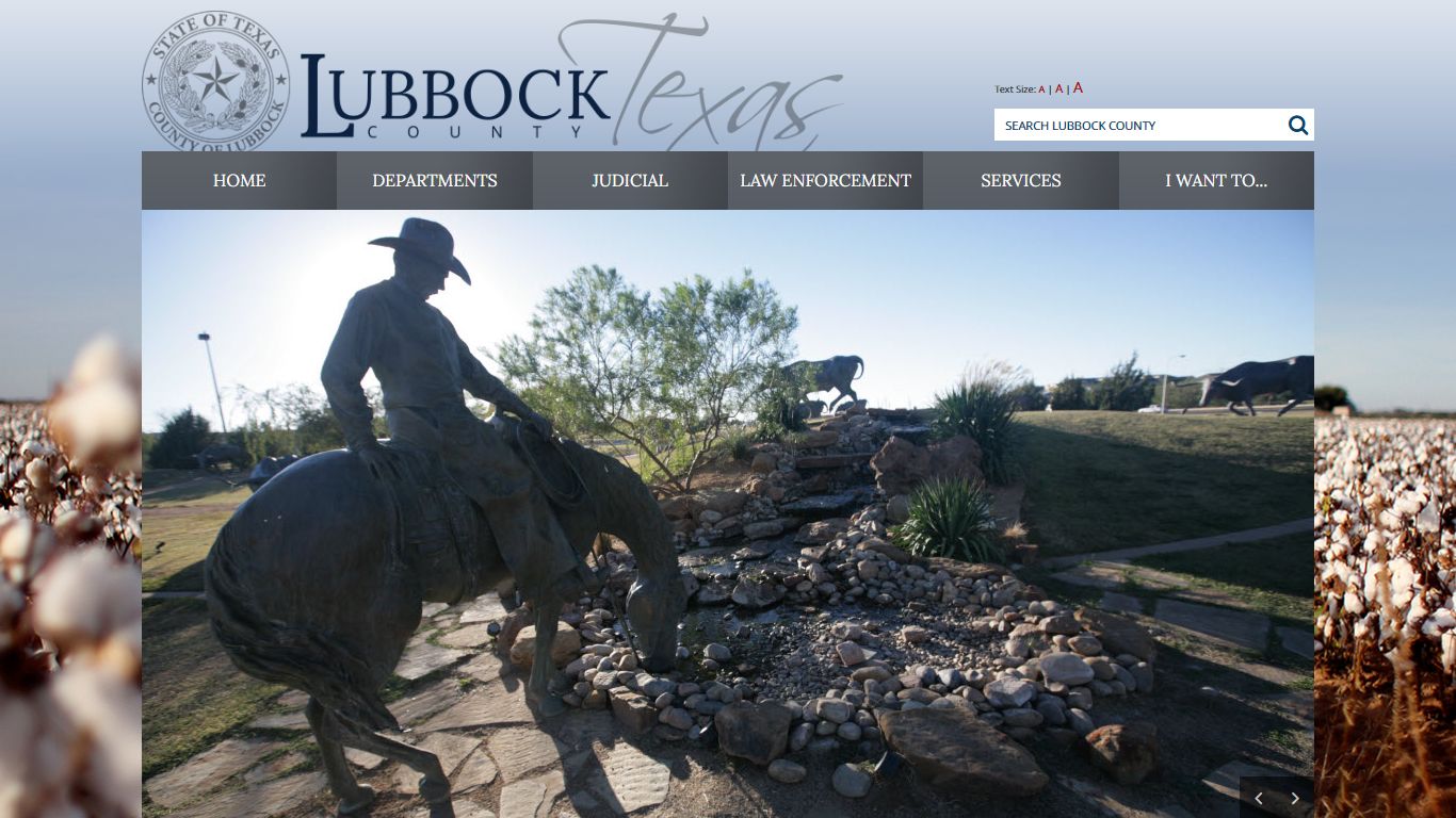 Online Access to Court Records - Lubbock County